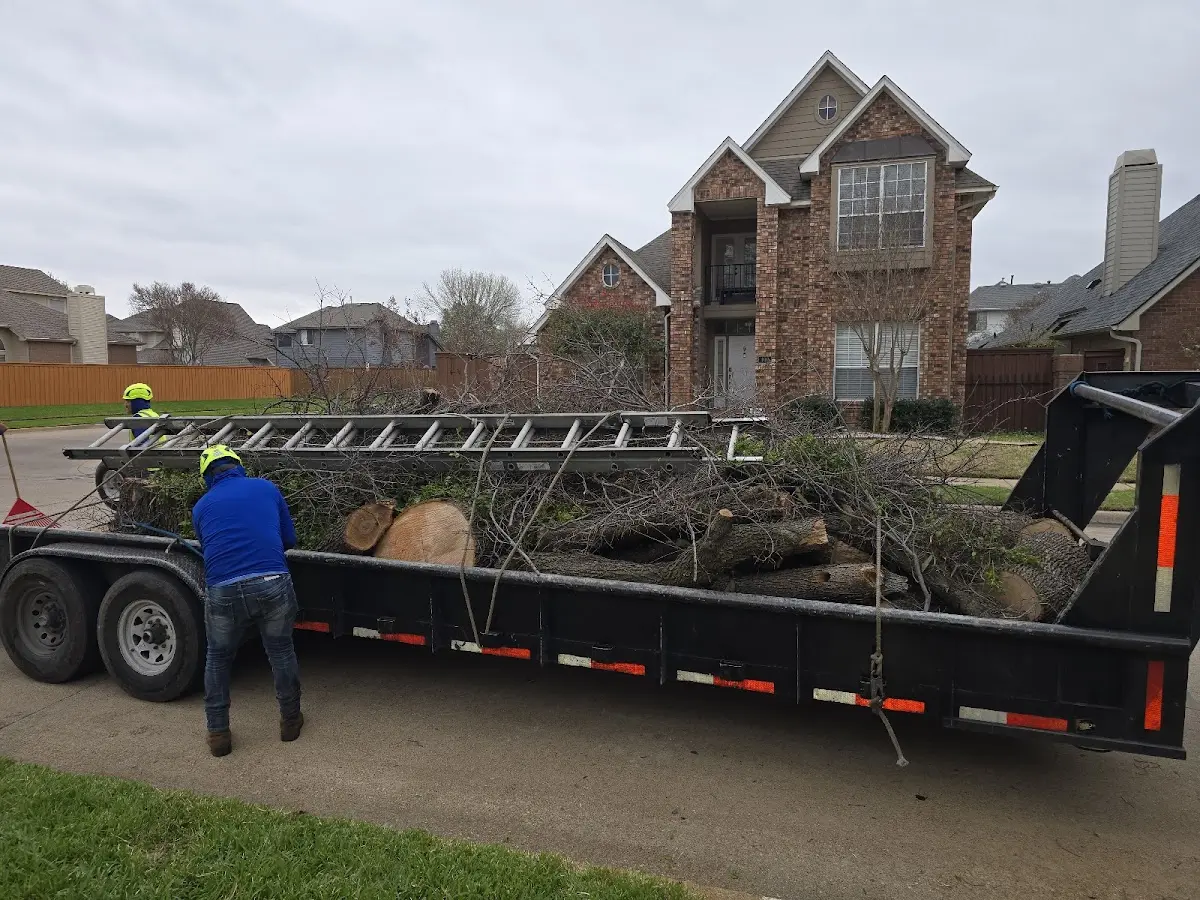 Expert Tree Removal with proper safety equipment in Wilmette